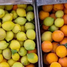 agrumi arance e limoni